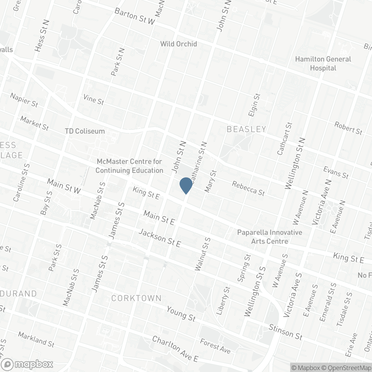 314 - 80 KING WILLIAM STREET, Hamilton, Ontario L8R 0A1